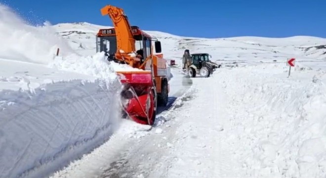 Kar Erzurum da hayatı felç etti